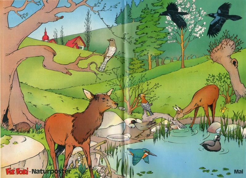 Datei:1979-20 Naturposter.jpg