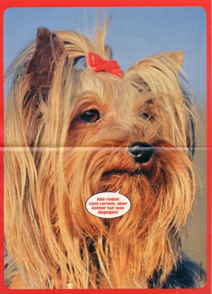 Datei:1985-48 Tierposter.jpg