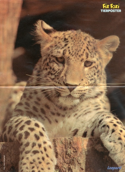 Datei:1986-36 Tierposter.jpg