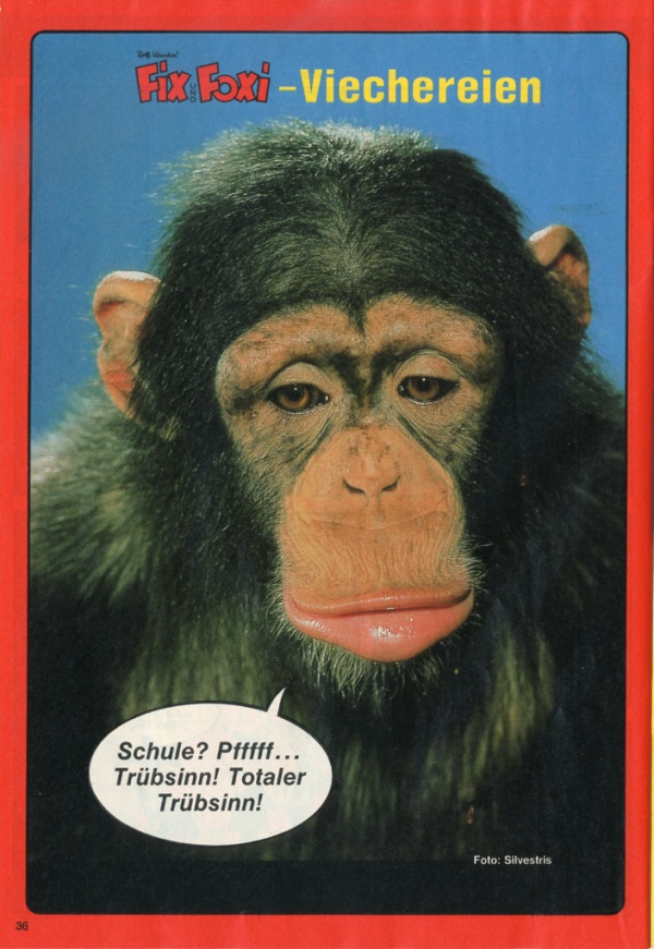 1987-08 Tierposter.jpg