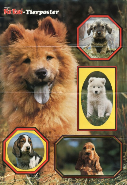 Datei:Beilage FFSH 1980-05.jpg