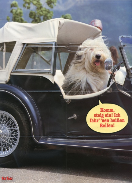 Datei:Beilage FF 1989-28.jpg